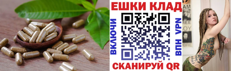 сайты даркнета телеграм  Завитинск  Ecstasy XTC  что такое наркотик 