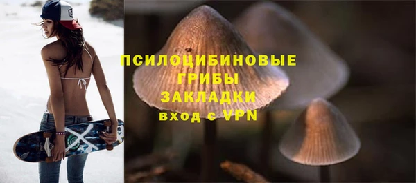 МДПВ Нижний Тагил
