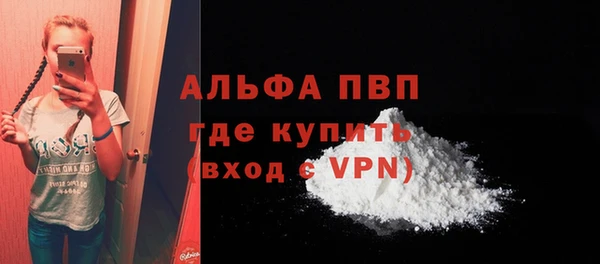 дживик Гусев