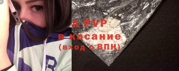 гашик Архангельск