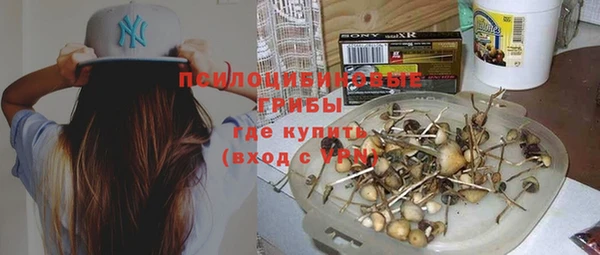 дживик Гусев