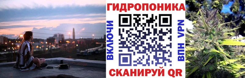 Каннабис план  как найти закладки  Завитинск 